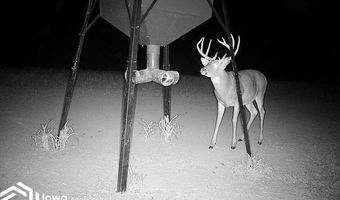 560 Th Ave, Albia, IA 52531