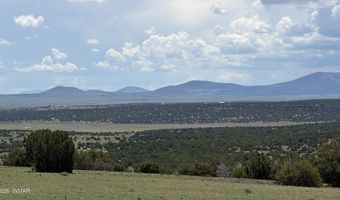 141 N8515, Concho, AZ 85924
