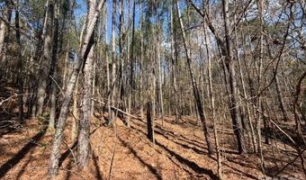 12 68 Acre 99 Rd, Blair, SC 29015