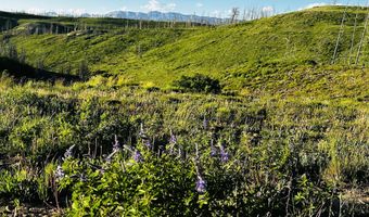 34 GROS VENTRE Dr, Bondurant, WY 82922