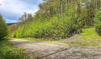 State Highway 28, Andes, NY 13731