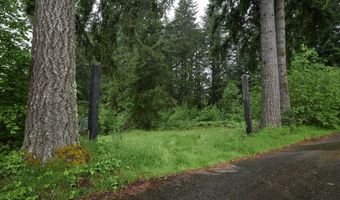 NE 389th St, Amboy, WA 98601