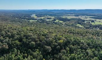 0 Slasham Rd, Ashville, AL 35953