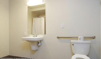 625 E Main St 204, Aspen, CO 81611