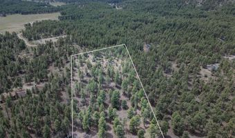 135 Meadow Ln, Bayfield, CO 81122