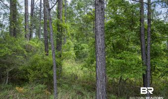Phillipsville Road, Bay Minette, AL 36507