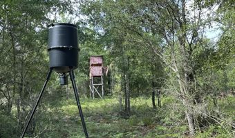 80 AC Old River Rd, Baker, FL 32531