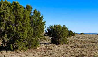 River Meadows Ranch Unit 3 Lot 204, Concho, AZ 85924