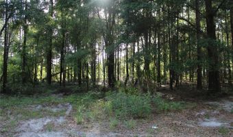 15821 SW 50TH Ave, Archer, FL 32618