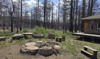 34010 Peccary Ln, Bonanza, OR 97623