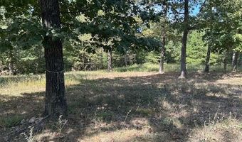 1087 Main St, Annapolis, MO 63620