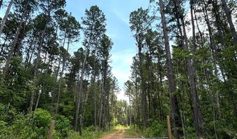 00 Ebenezer Church Rd, Bassfield, MS 39421
