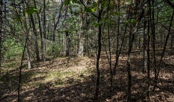 S Badger Lane lot 39, Arkdale, WI 54613
