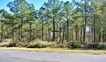 Lot 5/6 Block A Mountain View Way 5, 6, Bainbridge, GA 39819