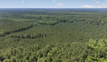 82 Acres Point Caswell Rd, Atkinson, NC 28421
