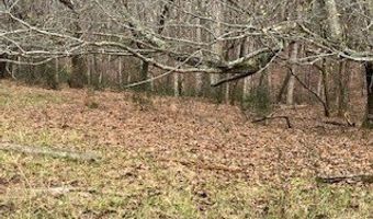 Julius Bridge Road, Ball Ground, GA 30107