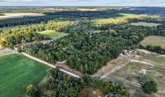 4654 NW 45th Ave, Bell, FL 32619