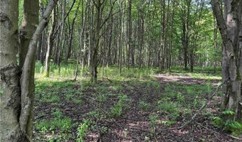 749 Green Rd, Alfred, NY 14803