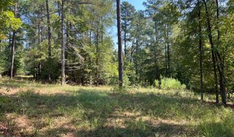 0 Nick Creek Rd, Bernice, LA 71222