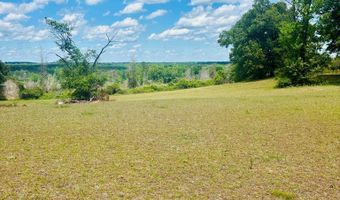 1687 HWY 131, Baker Hill, AL 36027