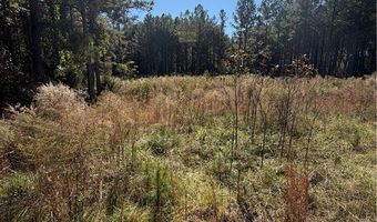 31 Waterside Pt, Abbeville, SC 29620