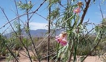 3644 W VISTA DEL VIEJO, Bisbee, AZ 85603