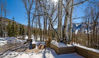 1036 Red Mountain Rd, Aspen, CO 81611