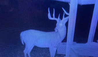 55 65 & 125 B Rock Ln, Batesville, AR 72501