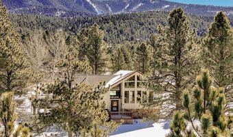 71 Halo Pines Ter, Angel Fire, NM 87710