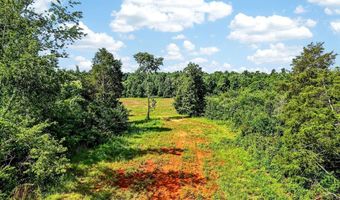 193 Ac Massa Rd, Baxter, TN 38544