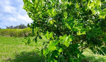 54-1749 PAIPO KANE Rd, Kapaau, HI 96755