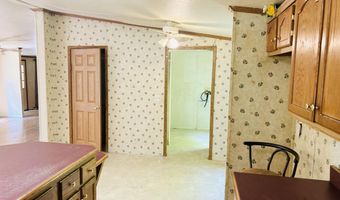 257 Cricket Ln, Beattyville, KY 41311
