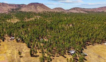 61 Co Rd 2266, Alpine, AZ 85920