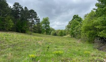 Co Rd 321 Route 5, Ava, MO 65608