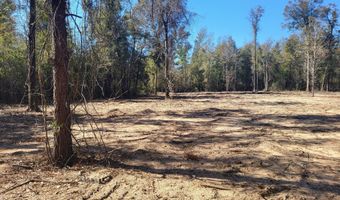 NW Tommy Tucker Road lot 1, Altha, FL 32421