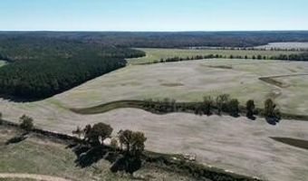 Beck Springs, Ashland, MS 38603