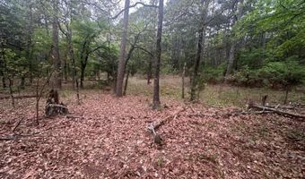 UNIT # 263B KIAMICHI WILDERNESS RD Unit # 63 63, Antlers, OK 74523