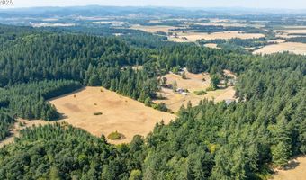 8501 SE THREE TREES Ln, Amity, OR 97101