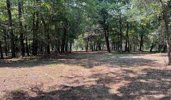 0 CR 3201 & CR 3203, De Kalb, TX 75559