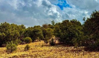 Tbd Co Rd 8256 Lot E 10 Acres, Concho, AZ 85924