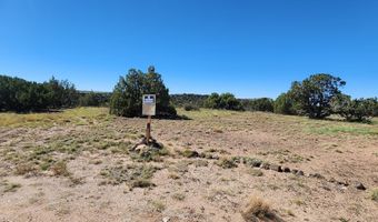 85 N 8522, Concho, AZ 85924