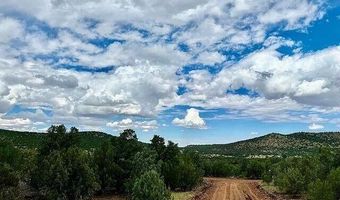 9 County Road 3036, Concho, AZ 85924