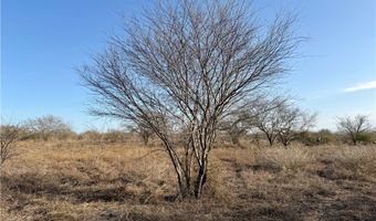 CR 119 lot 0, Alice, TX 78332