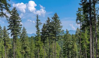 205 Trading Post Trl, Bigfork, MT 59911