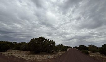 149 County Rd 8057, Concho, AZ 85924