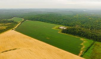 1037 Cr 300, Big Creek, MS 38914
