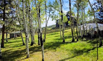 331 Bluebird Ln, Bailey, CO 80421