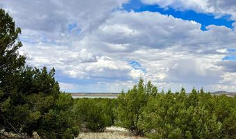 Tbd County Rd N3440, Concho, AZ 85924
