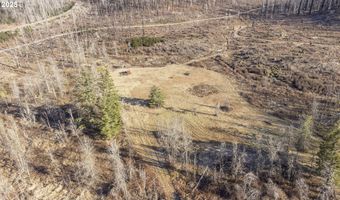 91747 BLUE RIVER RESERVOIR Rd, Blue River, OR 97413