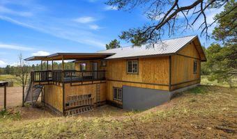 28 County Road 2310, Alpine, AZ 85920